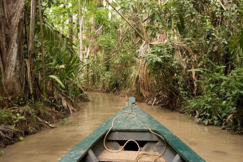 Unveil Amazons Secrets: 4 Days of Macaw Bliss - Itinerary Highlights