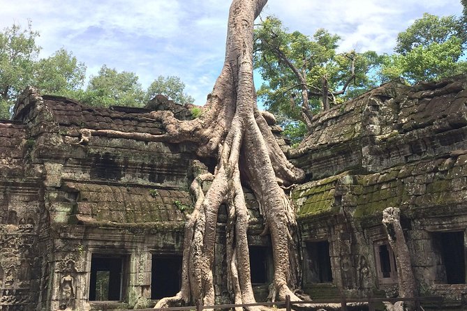 Unveil The Magic Of Angkor Wat Sunset In A Day Personalized Tours - Ta Prohm Temple