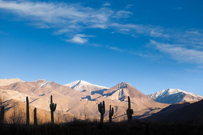 Unveiling Cafayate: Premium Wine Road Adventure - Overview of the Tour