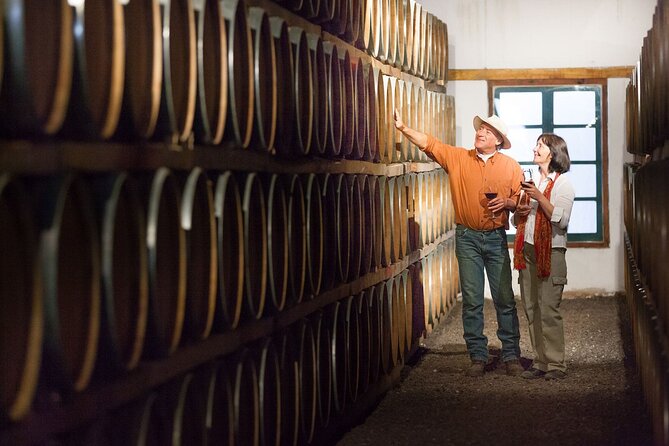 Unveiling Cafayate: Premium Wine Road Adventure - Key Points