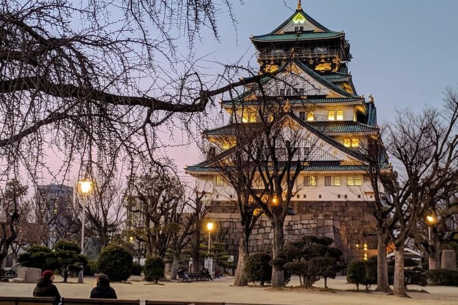 Unveiling Osaka Dotonbori and Namba A Private Half Day Lunch Tour - Additional Information