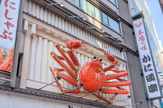 Unveiling Osaka Dotonbori and Namba A Private Half Day Lunch Tour - Indulge in Culinary Delights