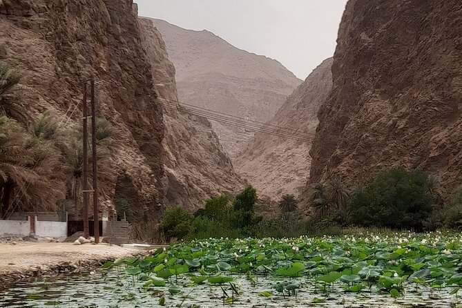 Unveiling the Hidden Paradise Wadi Shab Expedition - Inclusions and Pricing