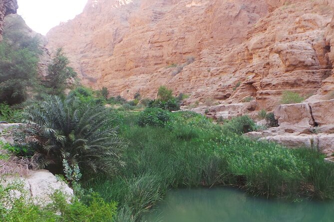 Unveiling the Hidden Paradise Wadi Shab Expedition - Maximum Participants and Health Restrictions