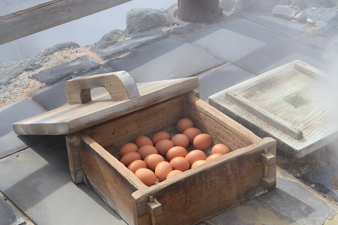 Unzen & Shimabara: Private Nature and History Tour From Kumamoto - Participation Details