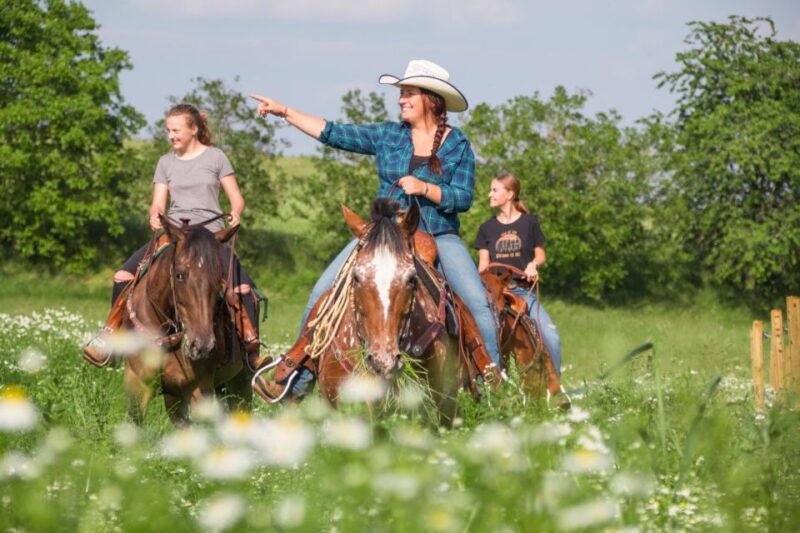 Upper Austria: Landscape, Forests, Meadows - Admiring Meadows on Horseback