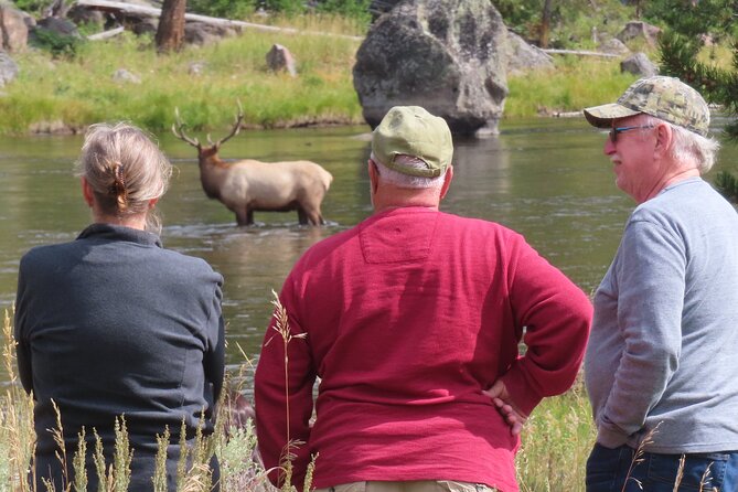 Upper Loop Tour and Lamar Valley From West Yellowstone With Lunch - Visiting Wildlife Hotspots