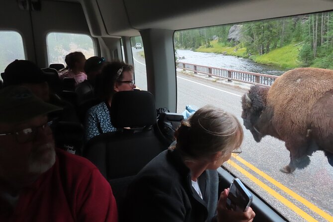 Upper Loop Tour and Lamar Valley From West Yellowstone With Lunch - Private Vehicle and Guide