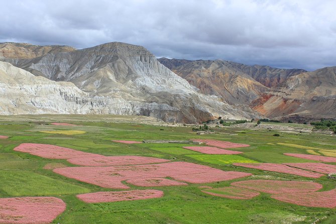 Upper Mustang 4WD Jeep Tour - Good To Know