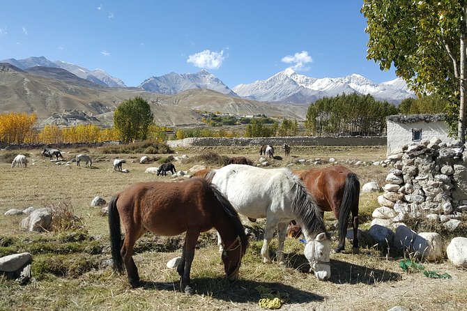 Upper Mustang Tiji Festival Trek  - 18 Days - Overview of the Trek