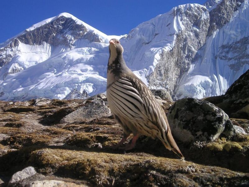 Upper Mustang Trek Adventure: Mysteries of Forbidden Kingdom - Daily Itinerary