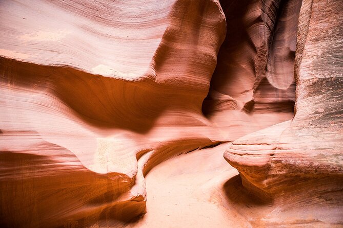 Upper or Lower Antelope Canyon & Horseshoe Bend Tour From Page - Additional Tour Information