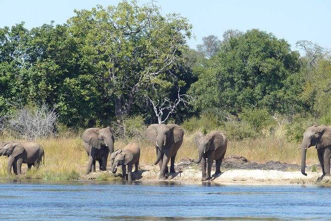 Upper Zambezi Canoeing - Inclusions