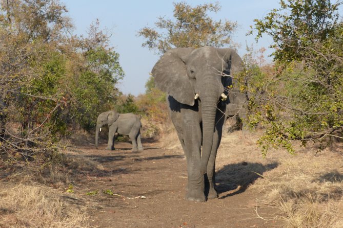 Upper Zambezi Canoeing - Requirements