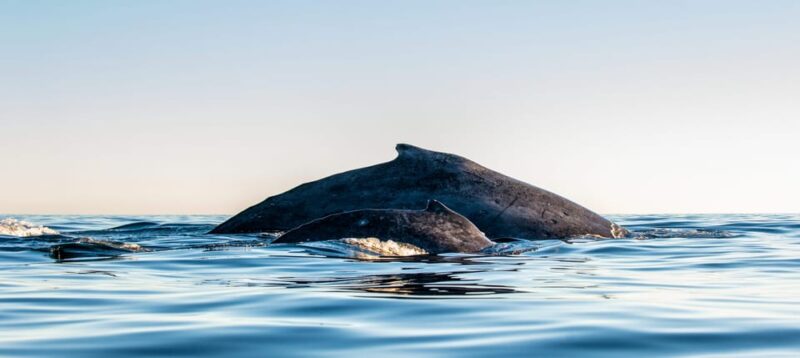 Uramba Discovery Tour - Activities and Experiences