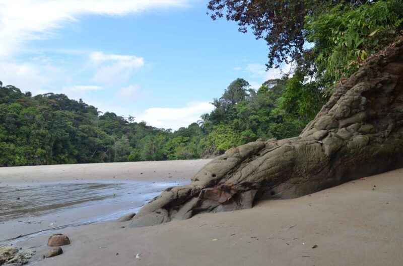 Uramba Discovery Tour - Private Group Option