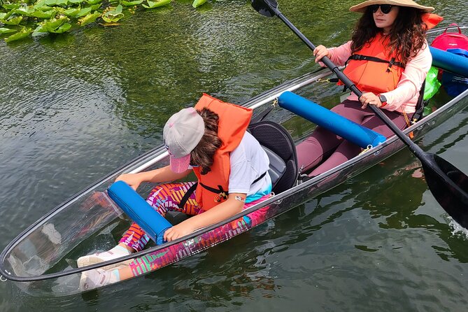 Urban Clear Kayak or Clear Paddleboard in Paradise: Morning/Night - Customer Reviews and Ratings