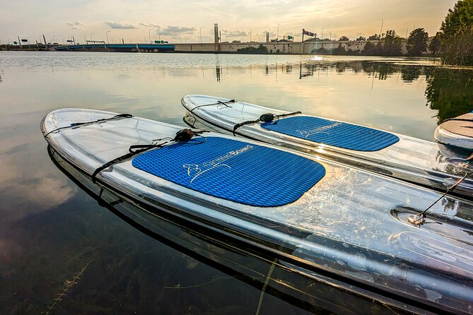Urban Clear Kayak or Clear Paddleboard in Paradise: Morning/Night - Accessibility and Additional Details