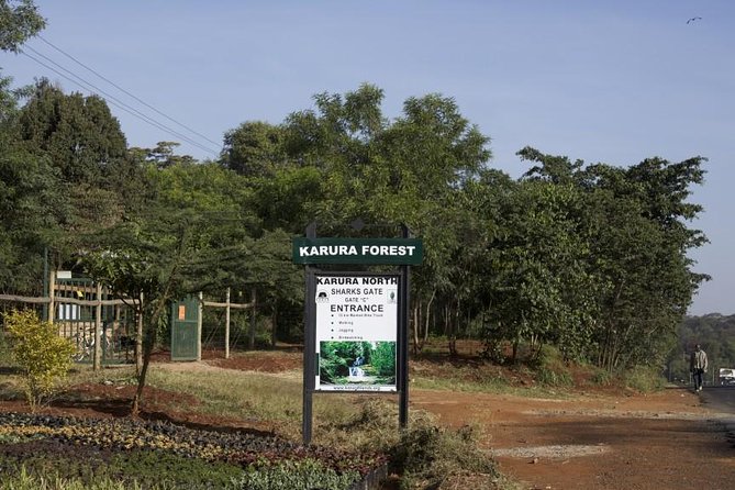 Urban Forest Tour in Nairobi - Key Points