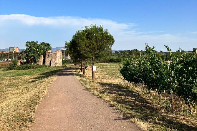 Urban Hike to the Aqueduct Park in Rome - Exploring the Historical Structures