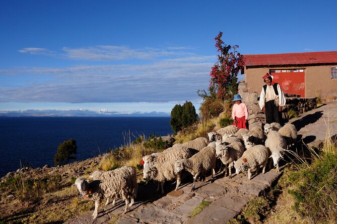 Uros Reed Floating Islands & Taquile Island Titicaca Puno Full Day - Inclusions