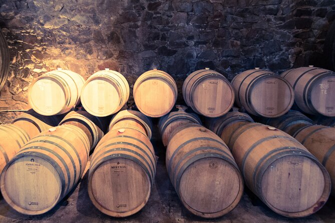 Uruguay Winery Visit and Lunch With Wines! - Key Points