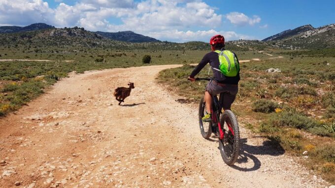 Urzulei: Supramonte Guided E-Bike Tour With Aperitif - E-Bike Specifications