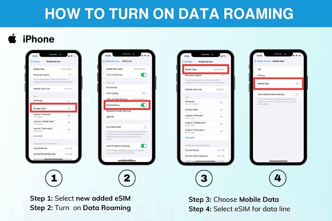 USA Esim (3-30 Days. up to 20GB of Data) - Meeting Point and Location