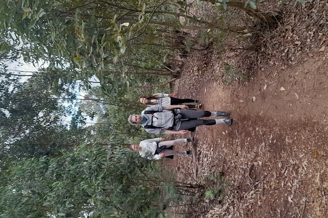 Usambara Mountains Adventure - Key Points