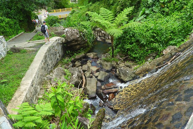USDA El Yunque National Forest and Luquillo Beach Tour - Scenic Waterfall and Swim
