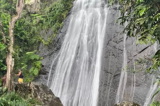 USDA El Yunque National Forest and Luquillo Beach Tour - Guest Feedback and Recommendations