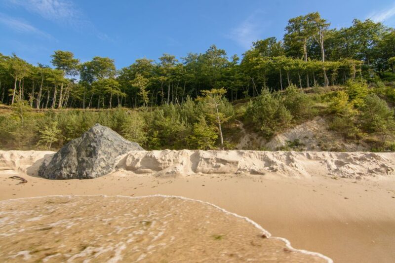 Usedom: Day Trip to Wolin National Park - Private Transport - Key Points