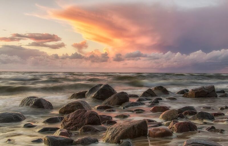 Usedom: Day Trip to Wolin National Park - Private Transport - Transportation Details