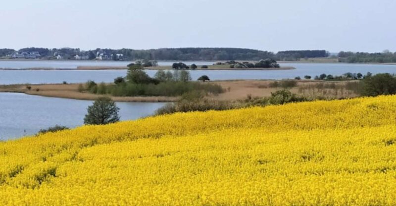 Usedom: Nature Park Tour - Nature Park Features
