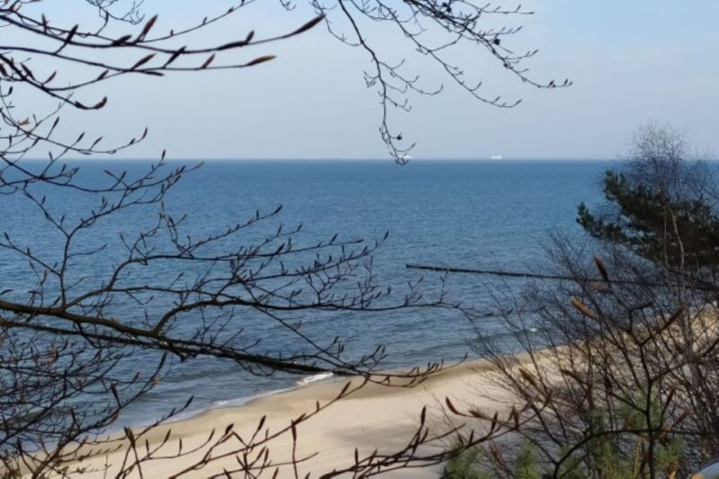 Usedom: Nature Park Tour - Booking Information