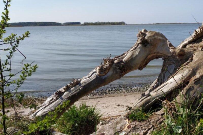 Usedom: Nature Park Tour - Included in the Tour