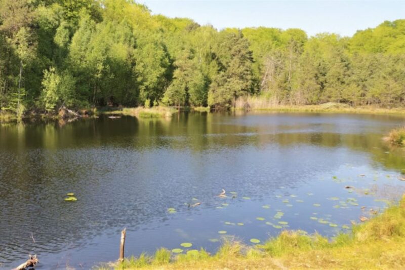 Usedom: Nature Park Tour - Frequently Asked Questions