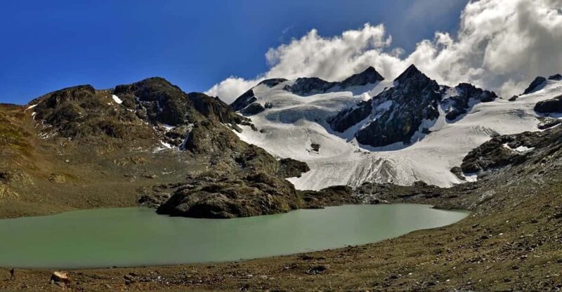 Ushuaia: 8-Hour Vinciguerra Glacier Trek - Key Points