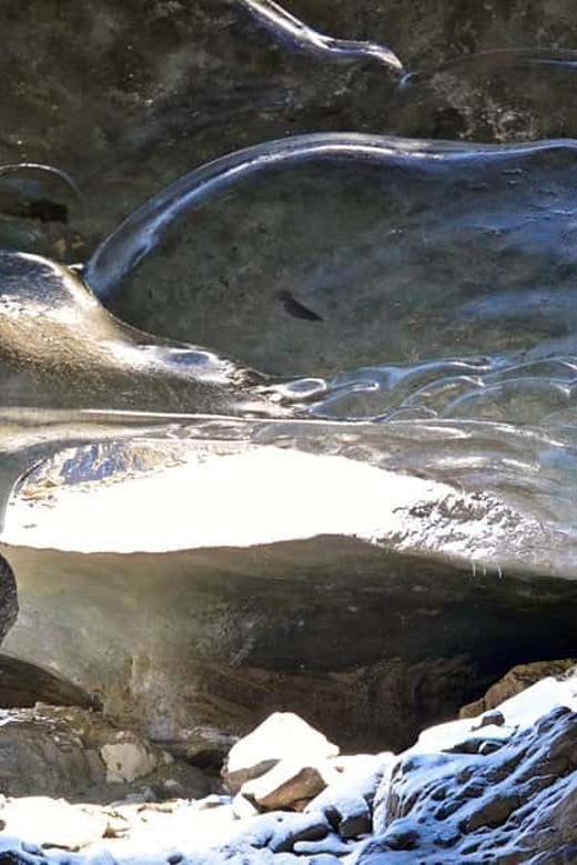 Ushuaia: 8-Hour Vinciguerra Glacier Trek - Trek Experience