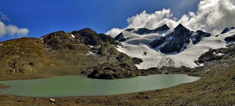 Ushuaia: 8-Hour Vinciguerra Glacier Trek - Important Information