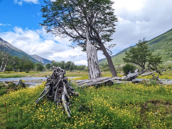 Ushuaia: 8-Hour Vinciguerra Glacier Trek - Frequently Asked Questions