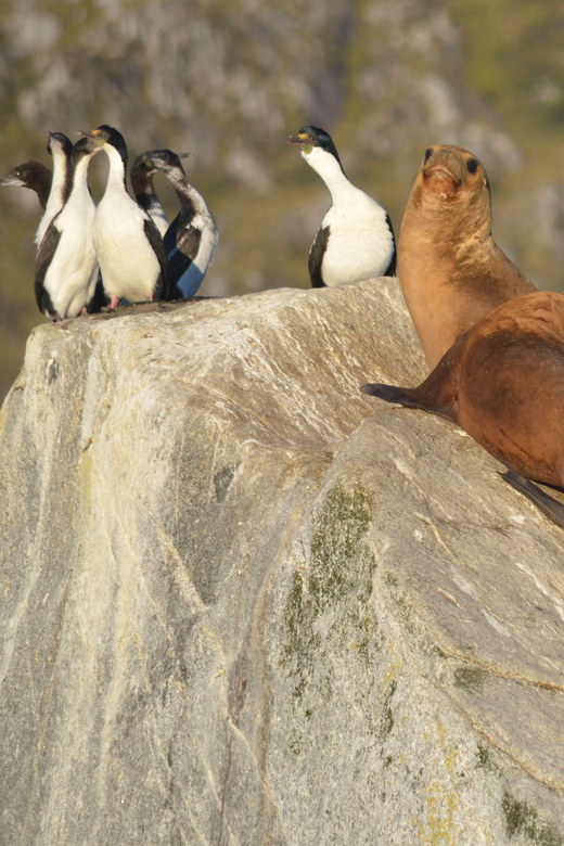 Ushuaia: Beagle Channel Navigation - Inclusions