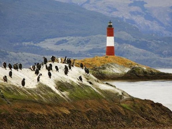 Ushuaia: Beagle Channel Navigation to the Penguin Colony - Key Points