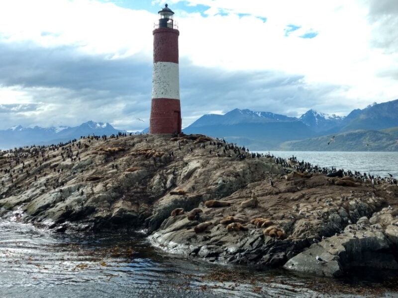 Ushuaia: Beagle Channel & Sea Wolves Island Catamaran Cruise - Itinerary and Highlights