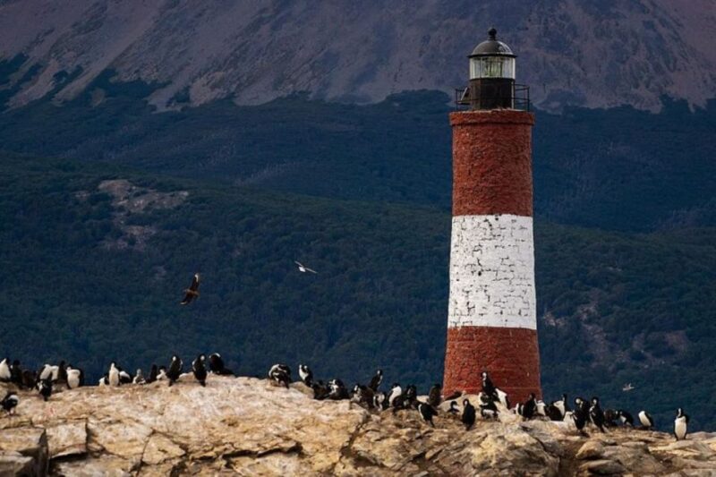 Ushuaia: Beagle Channel, Seal Island & Bridges Islands Tour - Booking and Cancellation