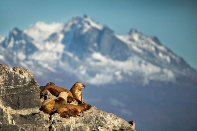 Ushuaia: Beagle Channel, Seal Island & Bridges Islands Tour - Tour Duration and Departure