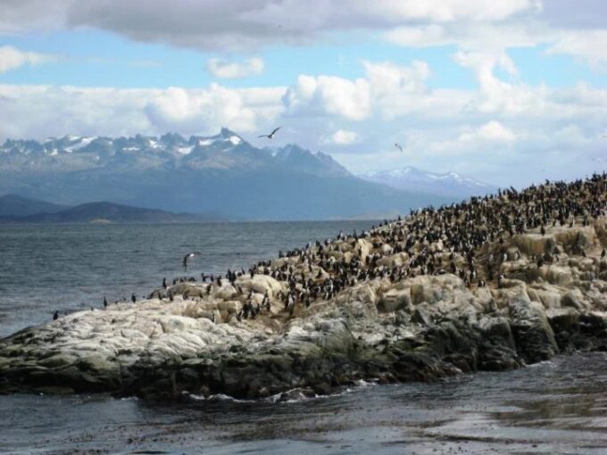 Ushuaia: Beagle Channel, Seal Island & Bridges Islands Tour - Frequently Asked Questions