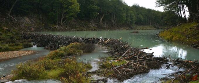 Ushuaia: Esmeralda Lagoon Hiking Tour With Lunch and Drinks - Laguna Esmeralda Visit