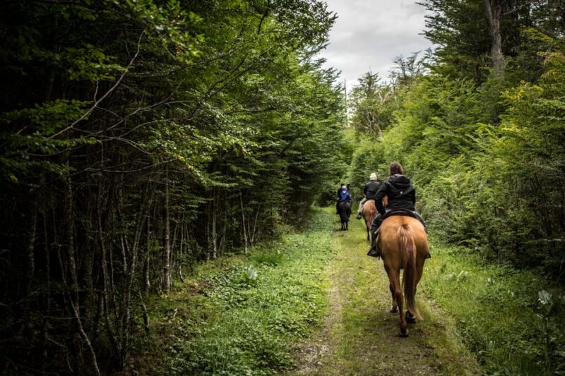 Ushuaia: Full-Day Off-Roading and Horseback Riding Lake Tour - Recommendations and What to Bring
