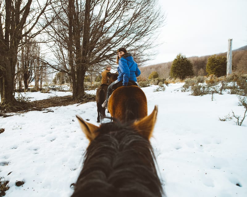 Ushuaia: Full-Day Off-Roading and Horseback Riding Lake Tour - Customer Reviews and Feedback
